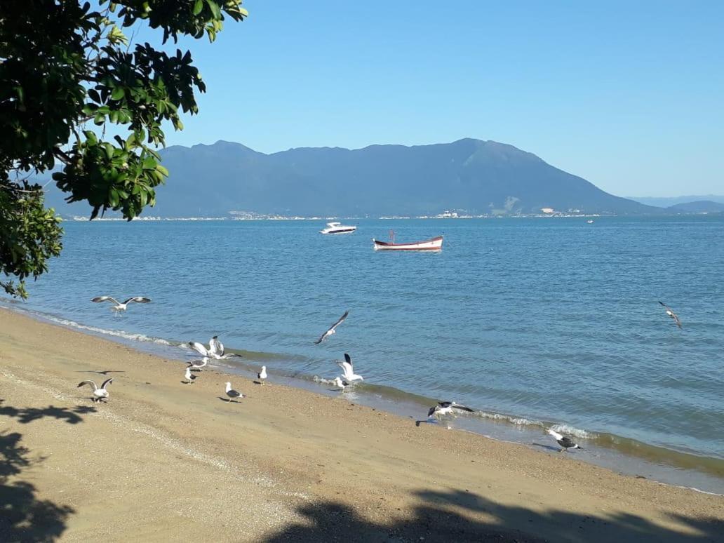 Casa Agradavel, 50M Da Praia Freguesia Do Ribeirao Da Ilha Florianópolis المظهر الخارجي الصورة